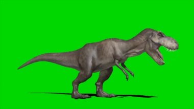 Yeşil Ekranda Kükreyen Dinozor