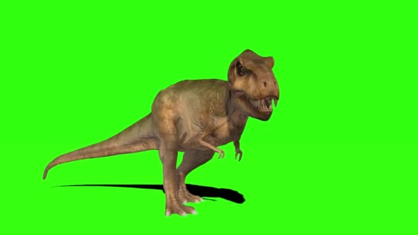 Dinosaurio Mirando Pantalla Verde — Vídeo de stock