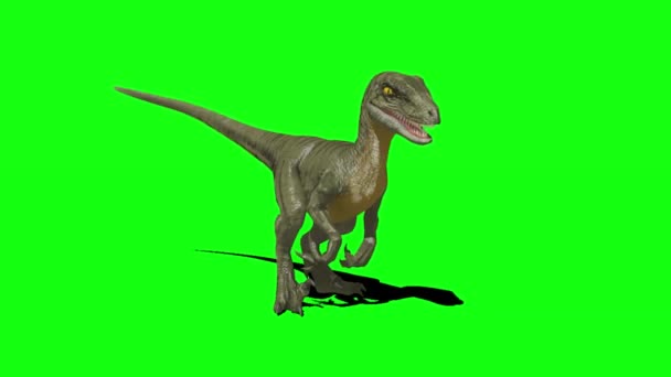 Dinosaurio Mirando Pantalla Verde — Vídeo de stock