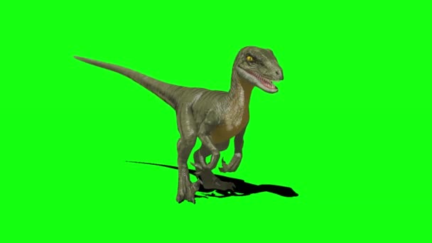 Dinosauro Che Guarda Sullo Schermo Verde — Video Stock