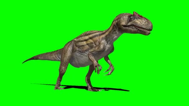 Dinosauro Che Guarda Sullo Schermo Verde — Video Stock