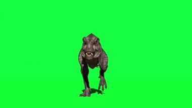 Yeşil Ekranda Kükreyen Dinozor