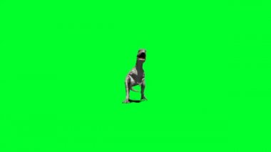 Yeşil Ekranda Kükreyen Dinozor