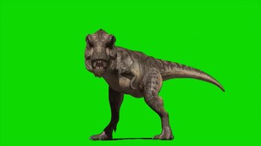 Yeşil Ekranda Kükreyen Dinozor