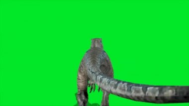 Yeşil Ekranda Çalışan Dinozor