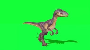 Yeşil Ekranda Yürüyen Dinozor