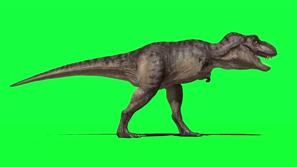 Dinossauro Rugindo Tela Verde — Vídeo de Stock