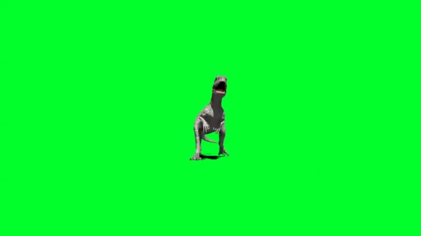 Dinosaurier Brüllen Auf Green Screen — Stockvideo