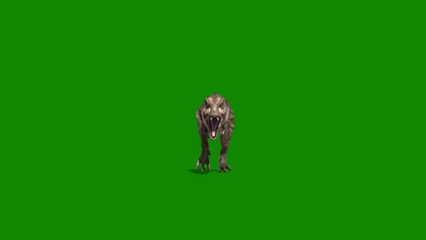 Dinosaurier Brüllen Auf Green Screen — Stockvideo