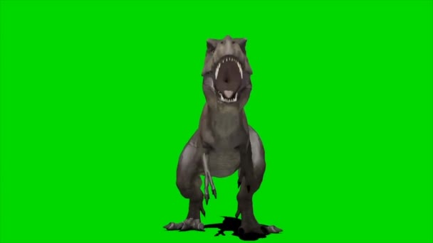 Dinosaurie Rytande Grön Skärm — Stockvideo