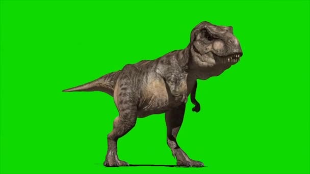 Yeşil Ekranda Kükreyen Dinozor — Stok video