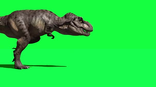 Ревущий Динозавр Зелёном Экране — стоковое видео