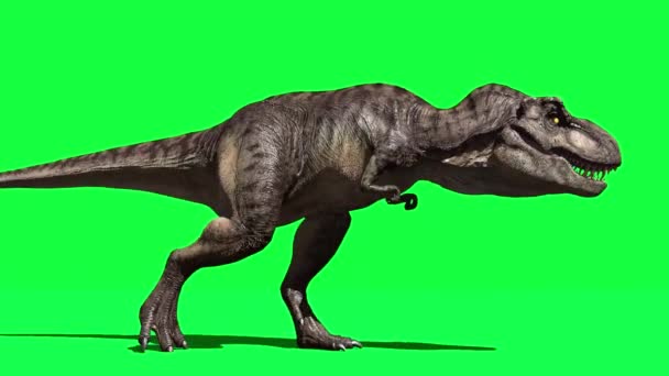 Dinosaurus Brullend Groen Scherm — Stockvideo