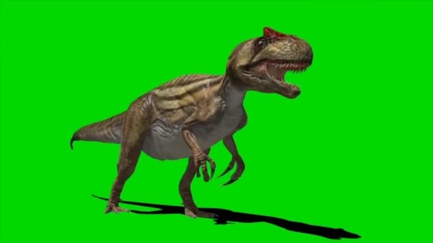 Dinosaurio Rugiendo Pantalla Verde — Vídeos de Stock