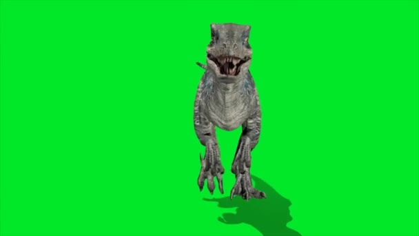 Dinosaurier Läuft Auf Green Screen — Stockvideo