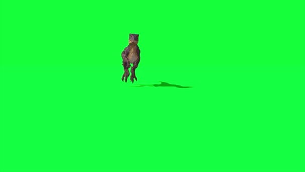 Dinosaurus Draait Groen Scherm — Stockvideo