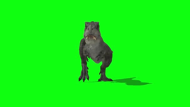 Dinosaur Running on Green Screen — Stock Video