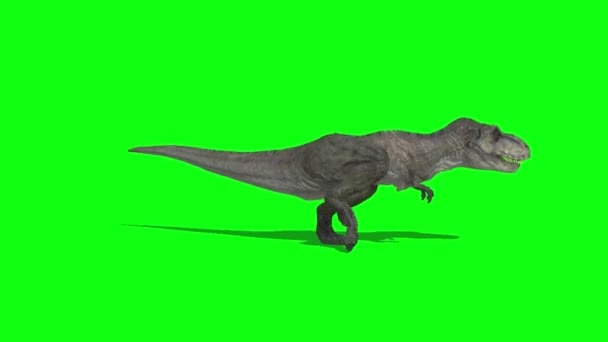 Dinosauro Esecuzione Sullo Schermo Verde — Video Stock