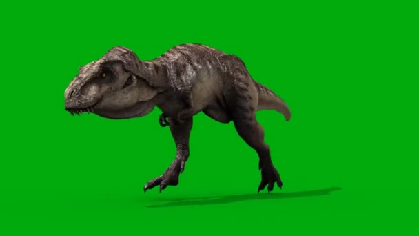 Dinosaurio Corriendo Pantalla Verde — Vídeos de Stock