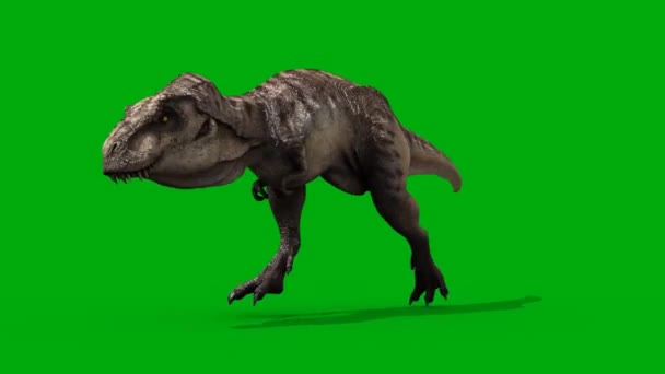 Dinosaurus Draait Groen Scherm — Stockvideo