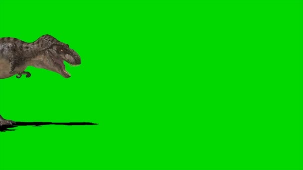 Dinosaur Walking Green Screen — Stock Video