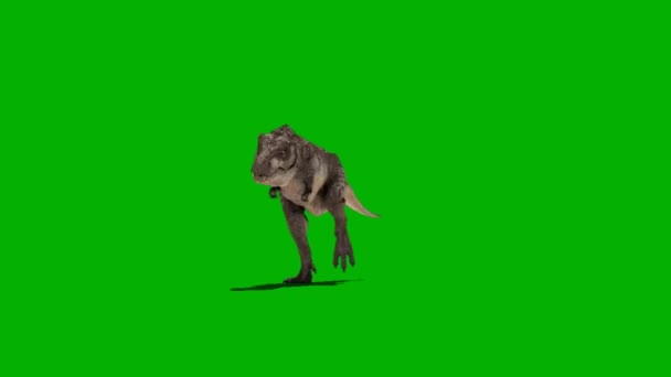 Dinosauro Che Cammina Sullo Schermo Verde — Video Stock