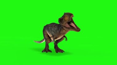 Yeşil Ekranda Kükreyen Dinozor