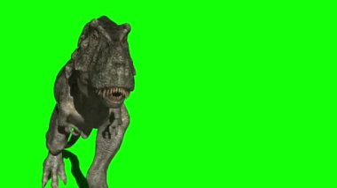 Yeşil Ekranda Çalışan Dinozor