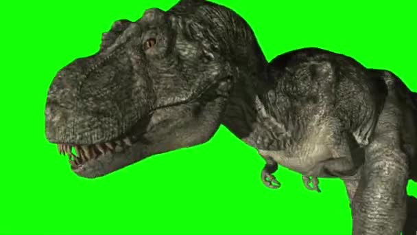 Yeşil Ekranda Çalışan Dinozor — Stok video