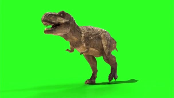 Dinosaurus Kráčí Zelené Obrazovce — Stock video