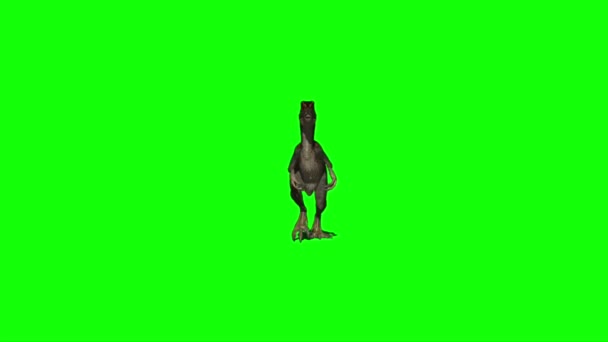 Dinosaurio Caminando Pantalla Verde — Vídeo de stock