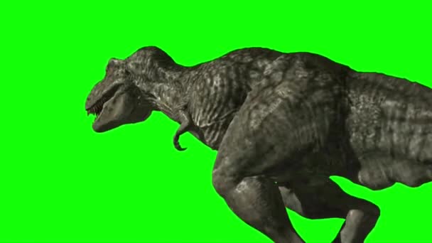 Dinosaurus Kráčí Zelené Obrazovce — Stock video