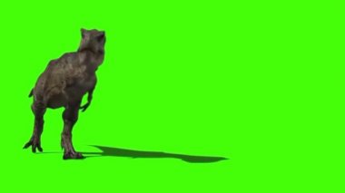 Yeşil Ekranda Yürüyen Dinozor