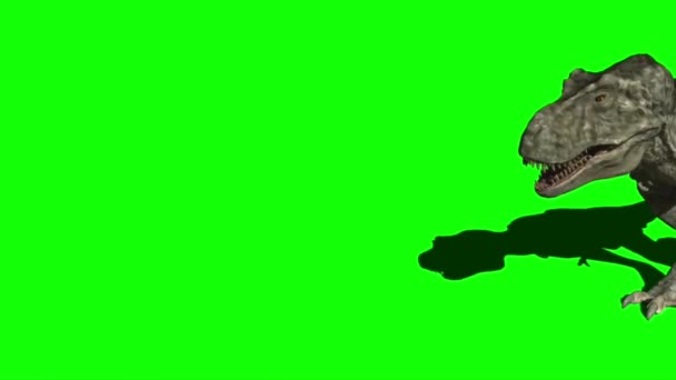 Dinosauro Che Cammina Sullo Schermo Verde — Video Stock