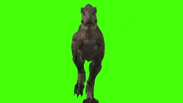 Dinosaurus Wandelen Groen Scherm — Stockvideo