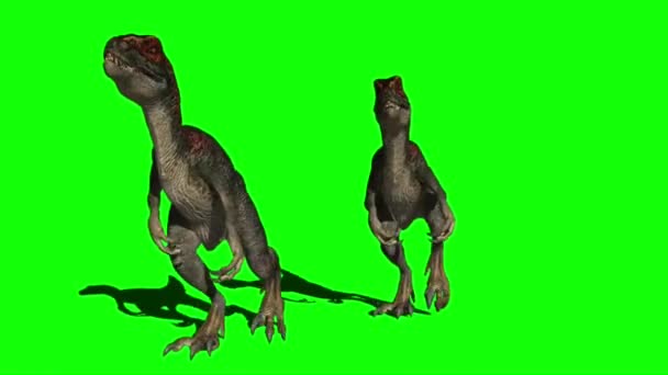 Yeşil Ekranda Yürüyen Dinozorlar — Stok video