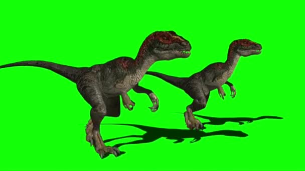 Dinosauri Che Camminano Sullo Schermo Verde — Video Stock