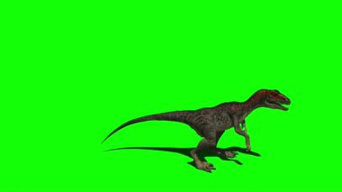 Yeşil Ekranda Dinozor Saldırısı