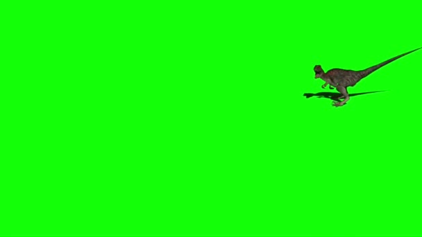 Dinossauro Atacando Tela Verde — Vídeo de Stock