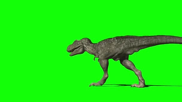 Dinosaurus Valt Aan Groen Scherm — Stockvideo