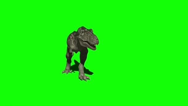 Атака Динозаврів Зеленому Екрані — стокове відео
