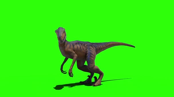 Динозавр Стрибає Зеленому Екрані — стокове відео