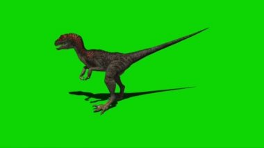 Yeşil Ekranda Dinozor Saldırısı
