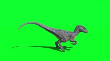 Yeşil Ekranda Kükreyen Dinozor