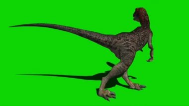 Yeşil Ekranda Kükreyen Dinozor