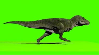 Yeşil Ekranda Çalışan Dinozor
