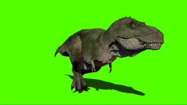 Yeşil Ekranda Yürüyen Dinozor