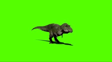 Yeşil Ekranda Yürüyen Dinozor