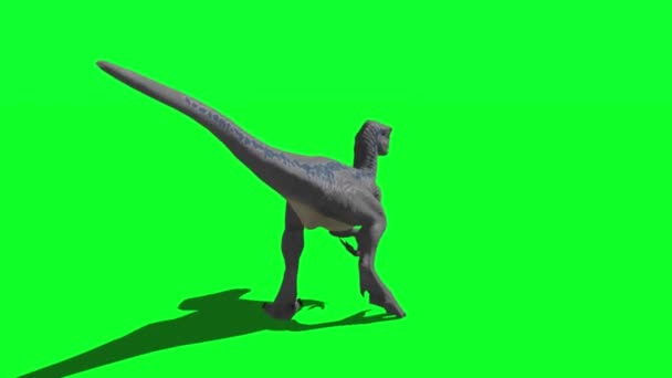 Yeşil Ekranda Kükreyen Dinozor — Stok video