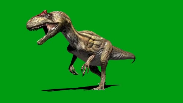 Dinosaurio Rugiendo Pantalla Verde — Vídeo de stock